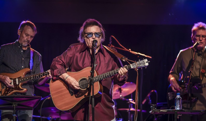 Don McLean – ‘Lotta Lovin’ Don McLean – ‘Lotta Lovin’