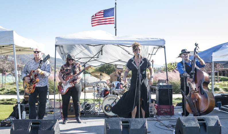 Dragonfly Festival – Music and Dragonflies Dragonfly Festival – Music and Dragonflies