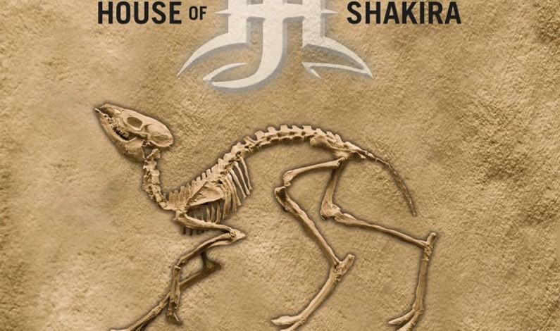 House of Shakira – RADIOCARBON House of Shakira – RADIOCARBON