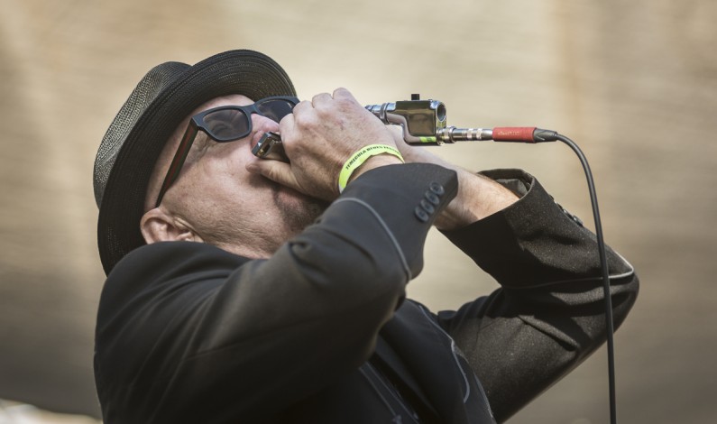 Temecula Blues Fest Temecula Blues Fest