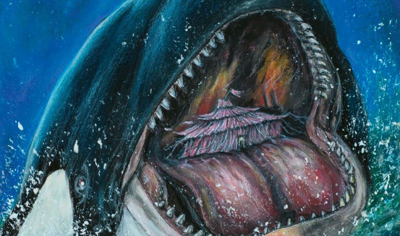 Steve Hackett celebrates over 50 years of music with his new conceptual studio album ‘The Circus and the Nightwhale’ Steve Hackett celebrates over 50 years of music with his new conceptual studio album ‘The Circus and the Nightwhale’